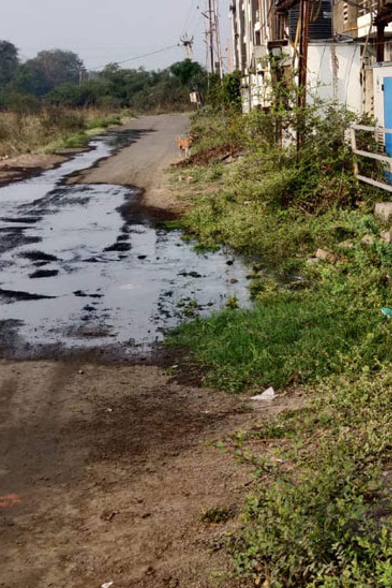 પ્રતીકાત્મક તસવીર:સંતરામપુરના મોટી સરસણ ગામમાં વણકરવાસમાં ગંદુ પાણી ઉભરાતા રહીશો પરેશાન